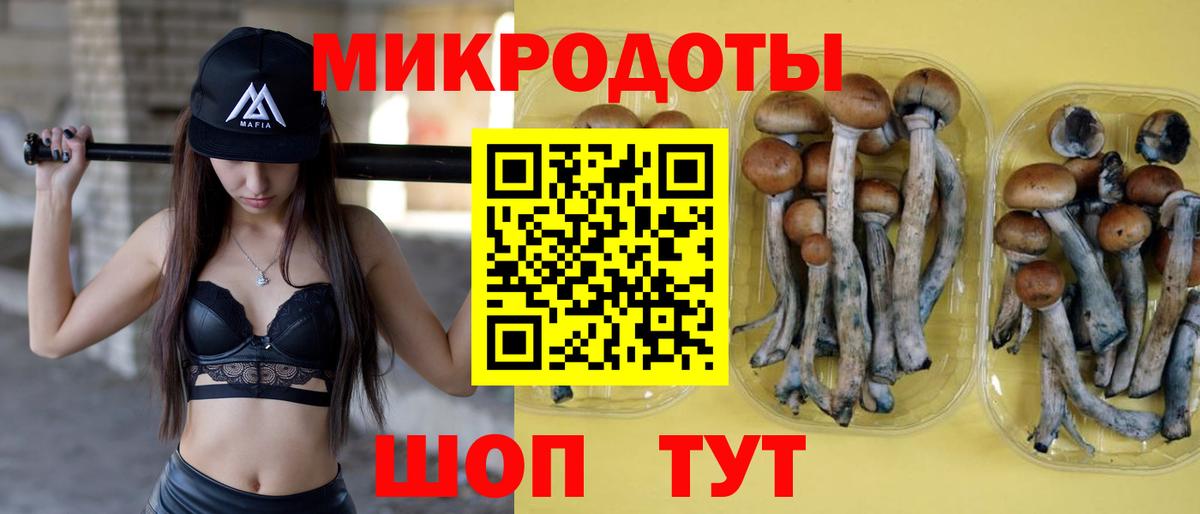 Псилоцибиновые грибы MAGIC MUSHROOMS  Вход с VPN  Нарткала 